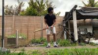 backyard ball tracking cricket project thumbnail