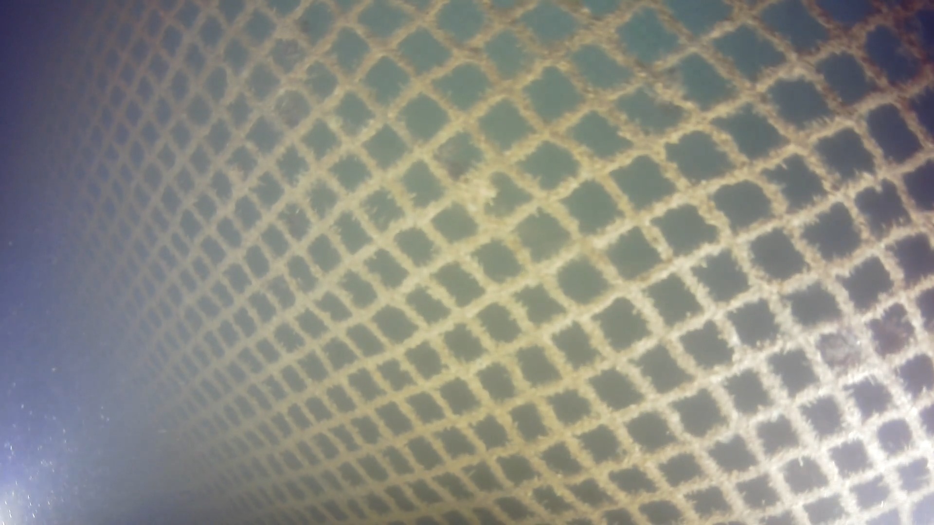 fish_net_distance Classification Model by golden pomfret