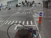 Dataset Image