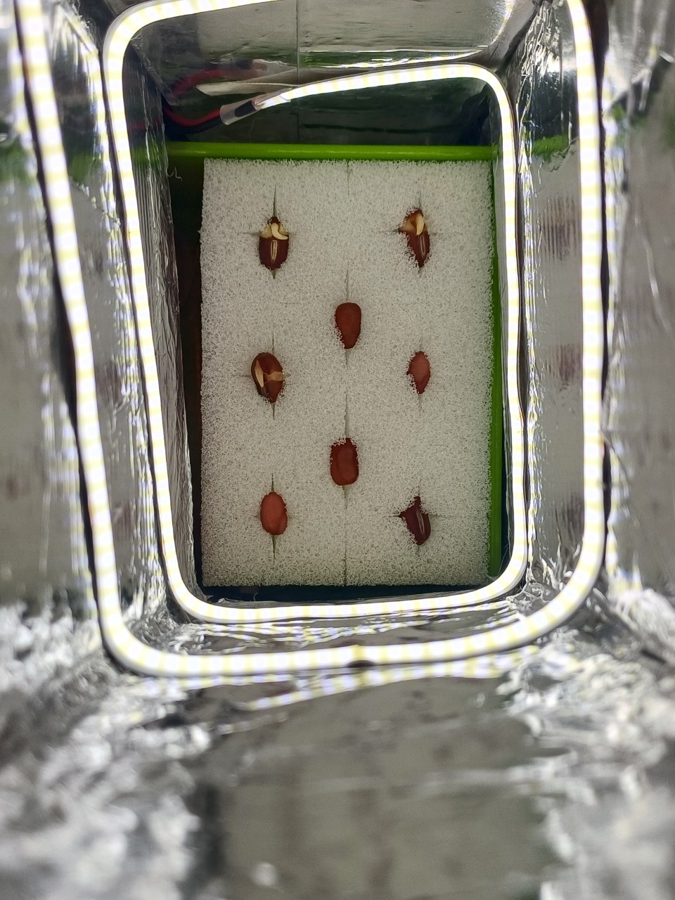 ya3 Object Detection Dataset by yolov8test