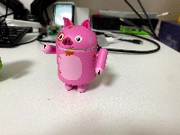 Dataset Image