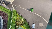 Dataset Image