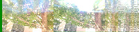 Branch Model project thumbnail