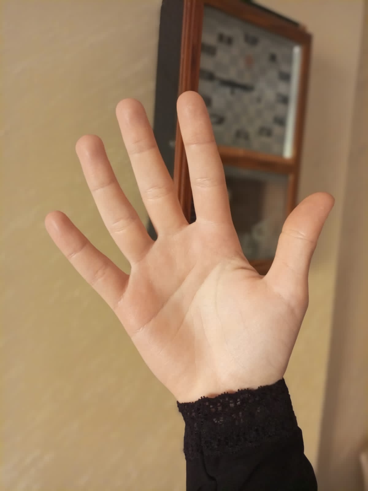 Hand Gesture Recognition Object Detection Dataset by adn