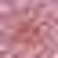 EfficientNet Crops Acne project thumbnail