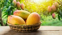 fruits project thumbnail