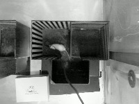 Mouse_PoseEstimate project thumbnail