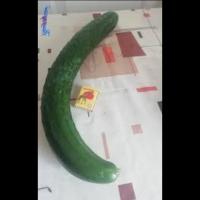 Fruit_Vege Detection project thumbnail