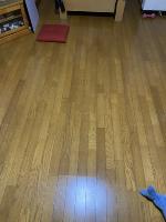 wall_floor_detector project thumbnail
