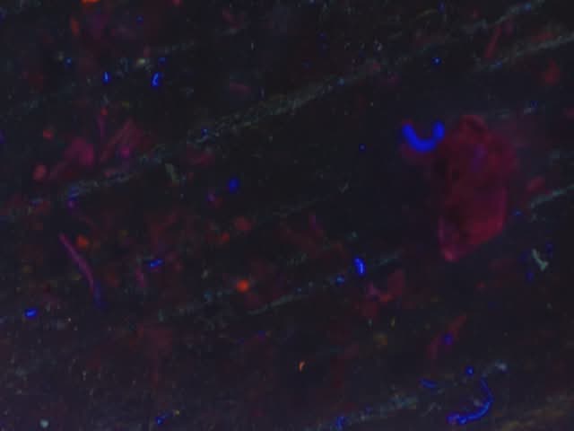 Microplastic Object Detection Model by patricias Workspace