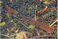 Test Workspace (test-workspace-iddwm) - Roboflow Universe