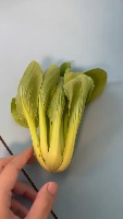Vegetable project thumbnail