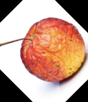 Fruit-Ripeness Classification Dataset by IIIT JABALPUR