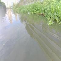 Flow-Img project thumbnail