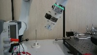 logodetection project thumbnail