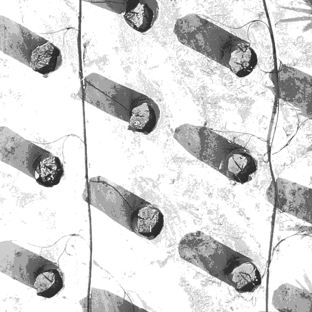 Testing Detection Object Detection Dataset by Palm Oil Detection