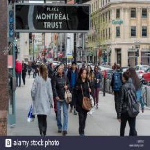 Test Camera Semantic Segmentation Dataset by Keix