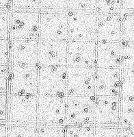 cell_counter_ffinal project thumbnail