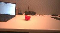 Dataset Image