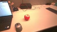 Dataset Image