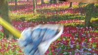 Dataset Image