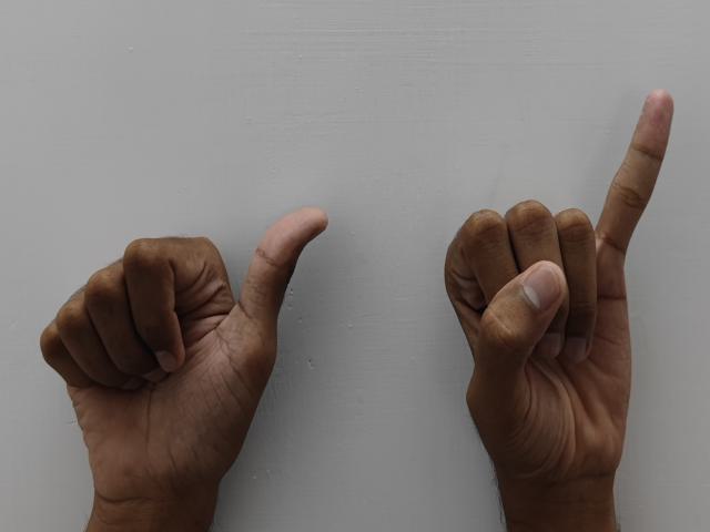 Hand sign Object Detection Model by Hands