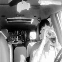 DMS - Driver Monitoring System Object Detection Dataset by custom yolo