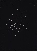 Damage_rice project thumbnail