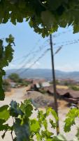 kırlangıçlar_bird_detection project thumbnail
