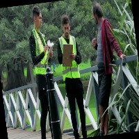 Dataset Image