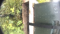 1 project thumbnail