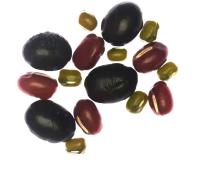 Mung Bean Classification Type project thumbnail