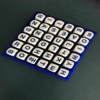 Dataset Image