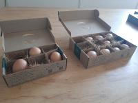 box-detection project thumbnail