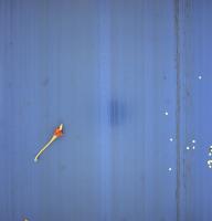 pepper_tap_crop project thumbnail