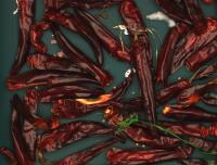 pepper project thumbnail