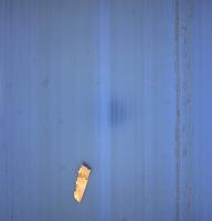 dried_leaf_crop project thumbnail