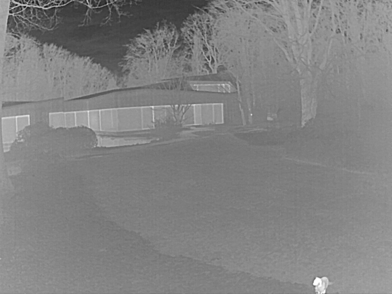 FLIR data set Object Detection Dataset by intern
