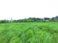 PaddyTillage-EffectiveState-Seg project thumbnail
