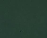 Sperm detection  project thumbnail
