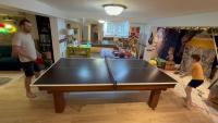 ping-pong-arbitrage project thumbnail