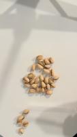 Pistachios Practice project thumbnail