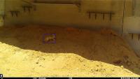 TAU_fennec_microhabitat project thumbnail