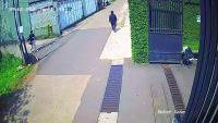 bags-detection project thumbnail