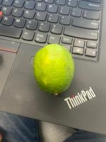 My First Project Object Detect project thumbnail