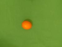 telur_grade project thumbnail