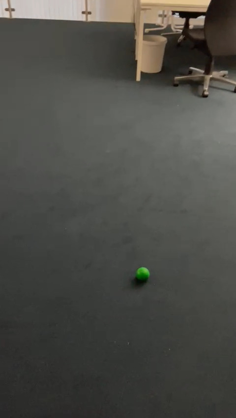 Green Ball Object Detection Dataset by New