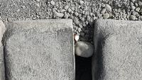 0119trash project thumbnail