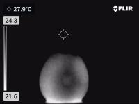 Apple bruise detection project thumbnail