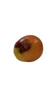 apple bruish project project thumbnail